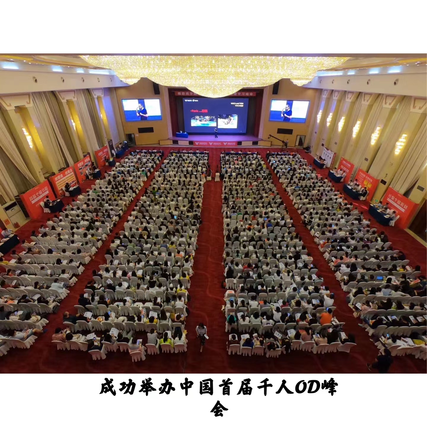 中国首届千人OD峰会（第一期）